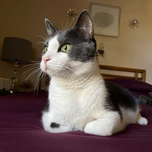 Meet your Posher, Ranique